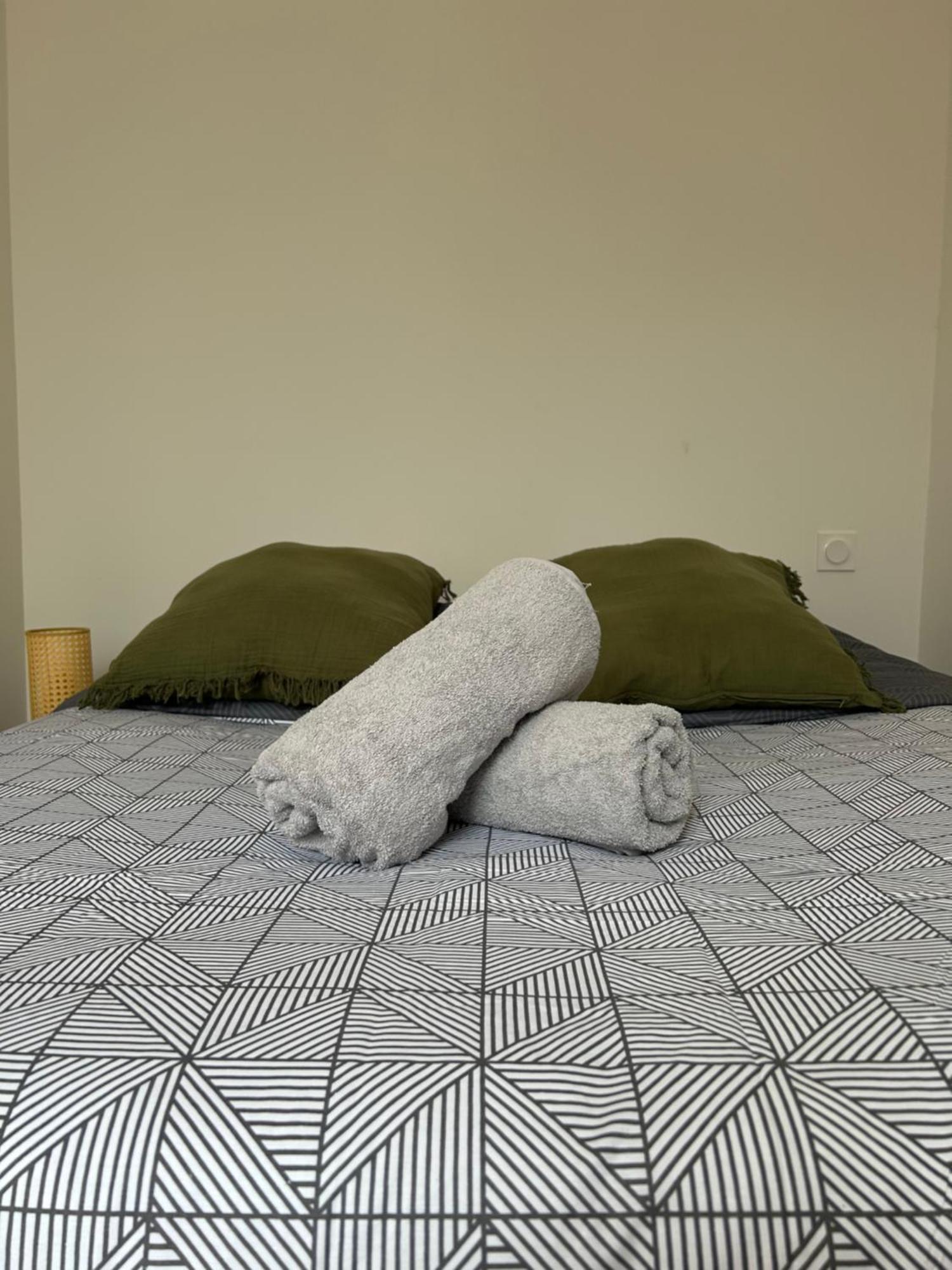 Le Toulousain 201 - Cosy En Hypercentre - Quartier Jeanne D'arc *